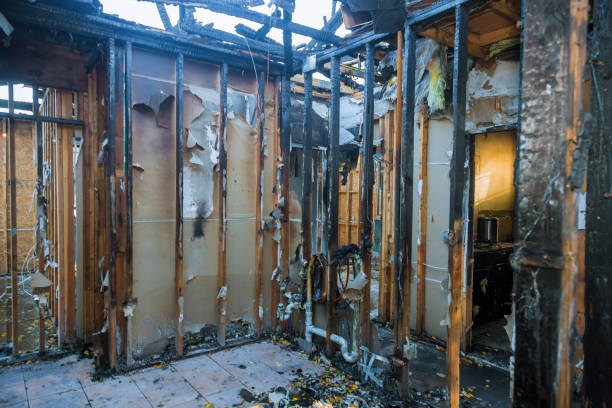 Professional Fire Damage Removal technician working in Medina, MN