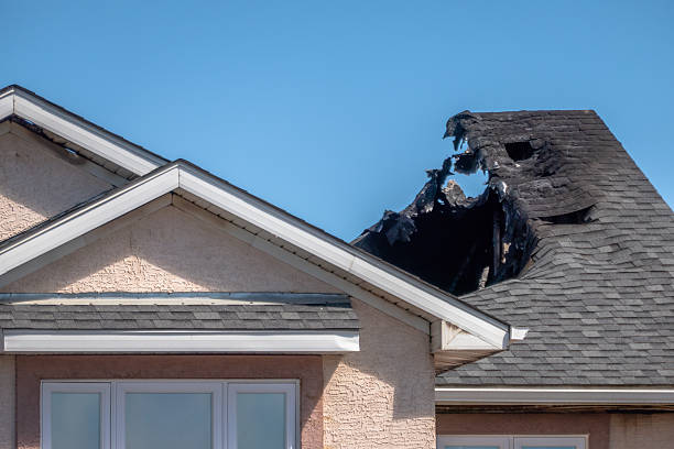 Top rated local Fire Damage Removal specialists in Medina, MN